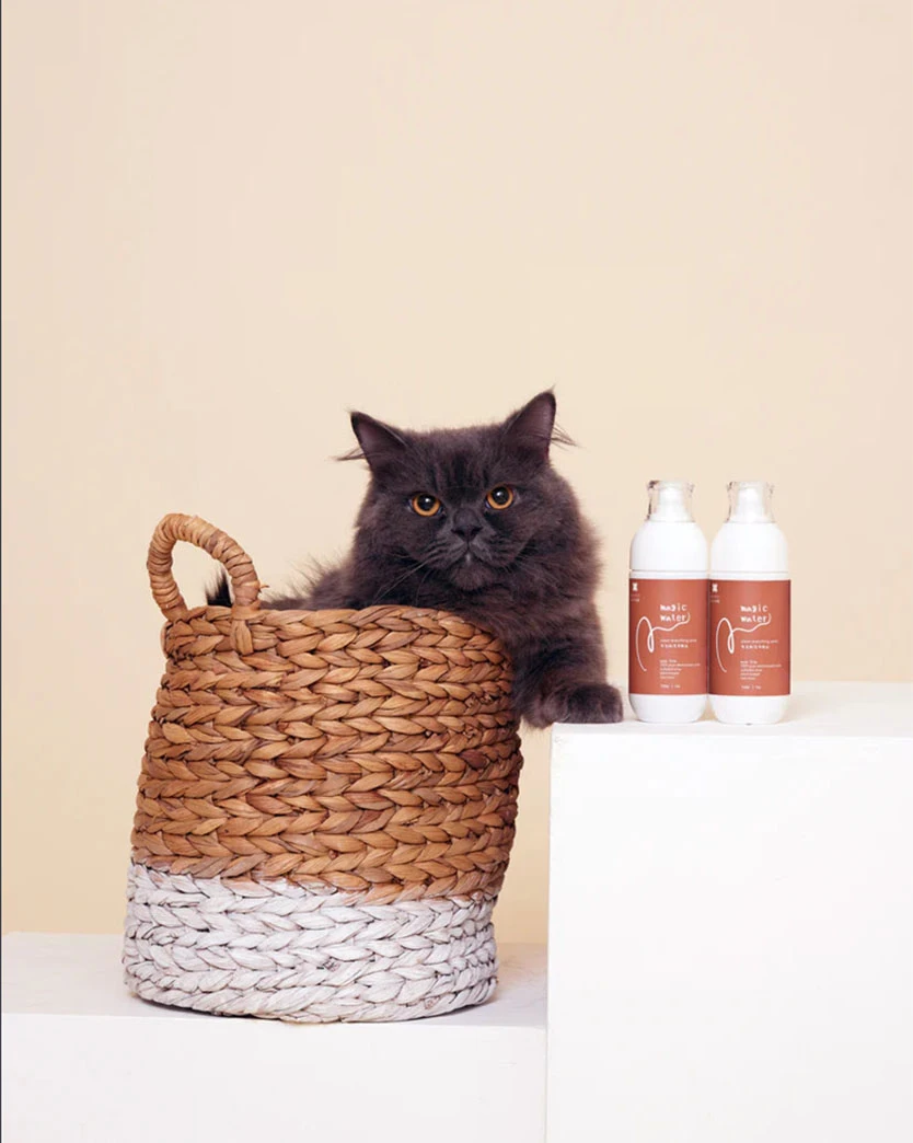 A Pet Story 魔法水 Magic Water